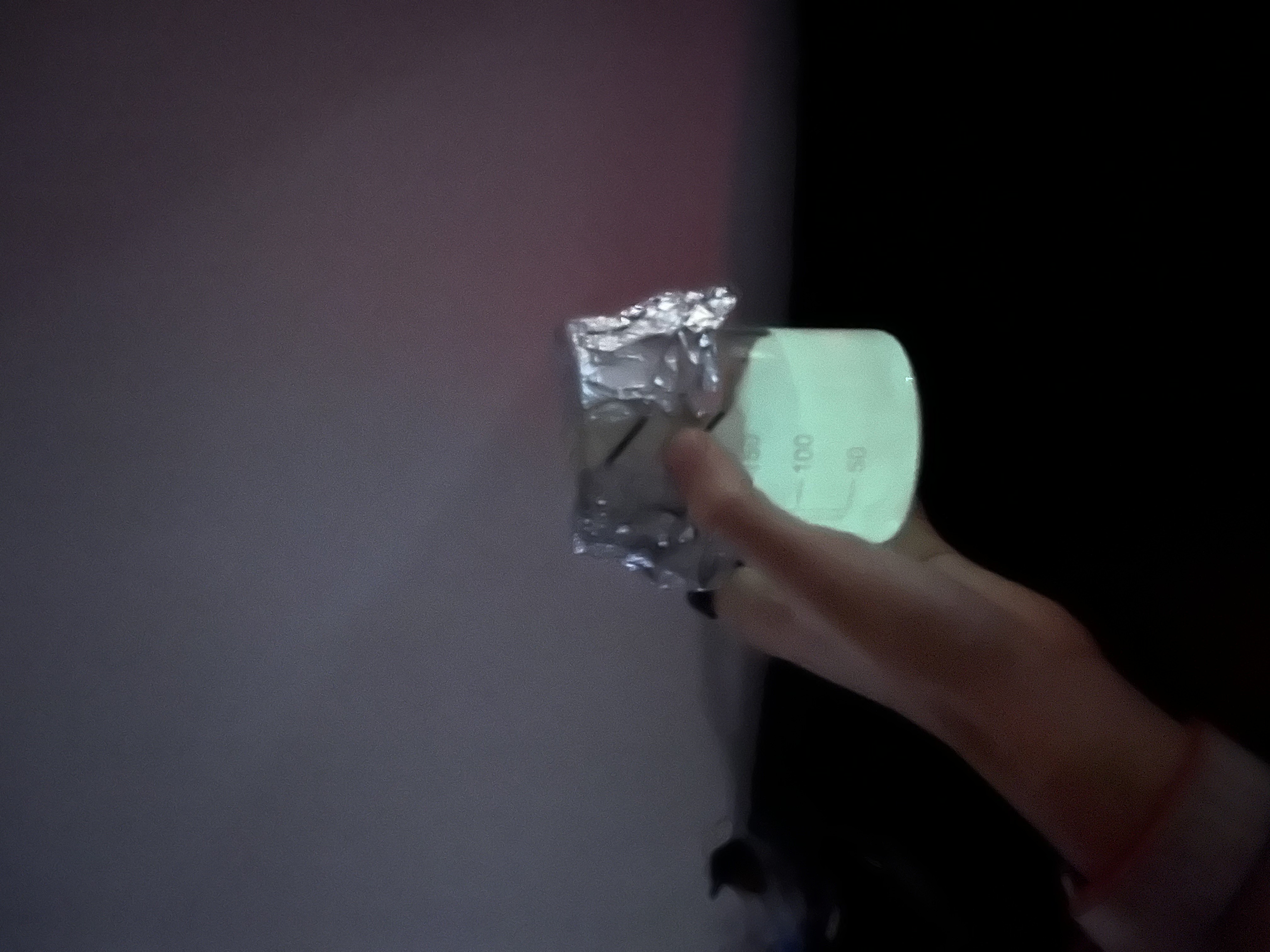 genetically modified E.Coli